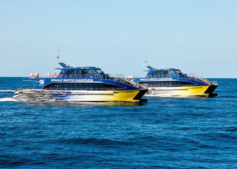 Whale Watch
